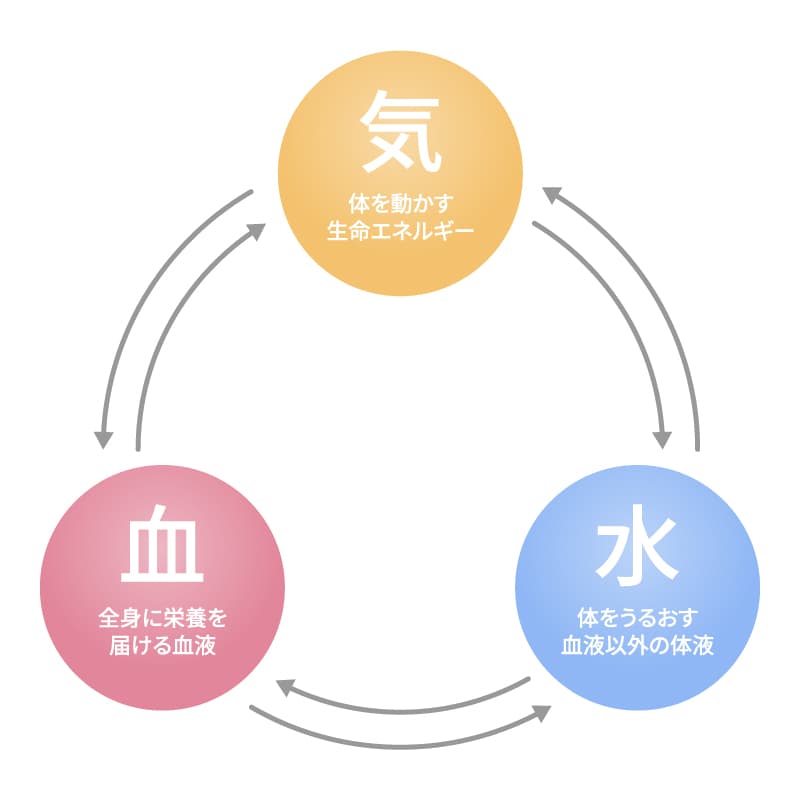 漢方ダイエットは気血水の乱れをリセットし、内側から燃える体質へ